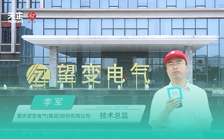 真人视讯x望变电气